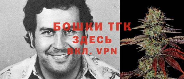винт Магас