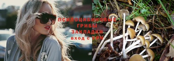 а пвп мука Магадан