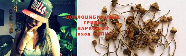 а пвп мука Магадан